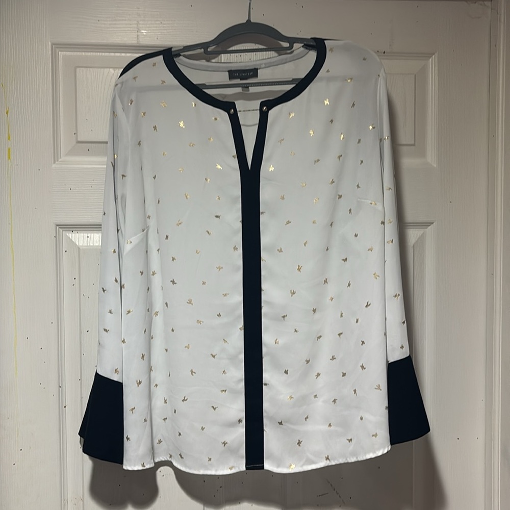 Women's dress shirt from The Limited